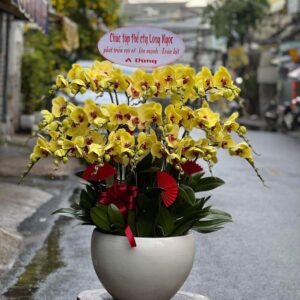Đón thần tài 02