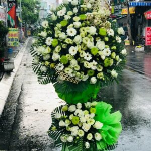 Cánh cửa hy vọng