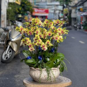 Thiên niên vạn lộc 05