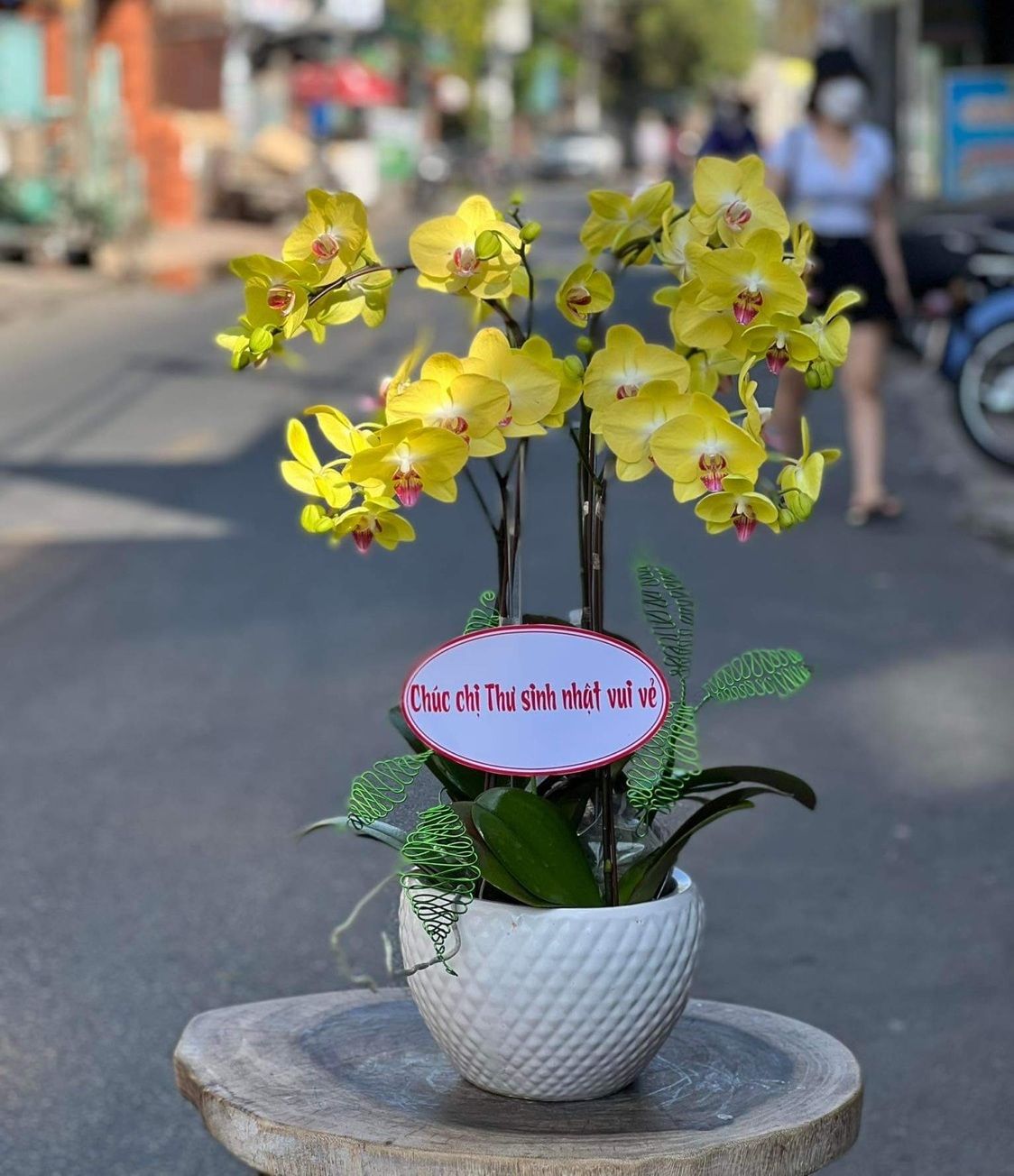 phong-lan-vang